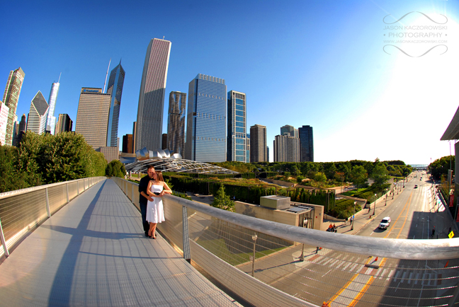 Modern Art Wing Bridge Chicago