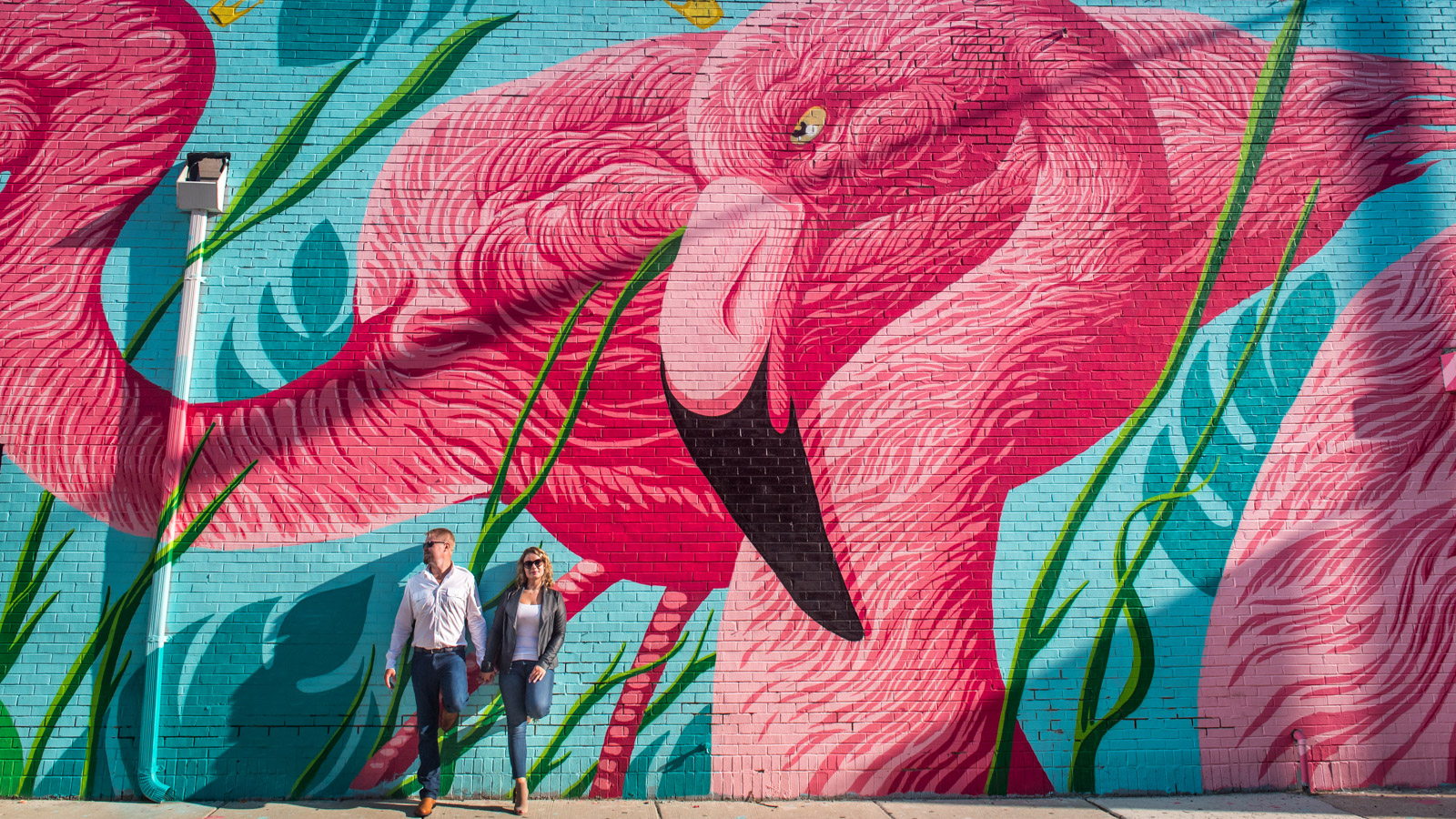 Chicago Engagement Session at Flamingo Rum Club Mural Designed by Andrew Ghrist & JC Rivera