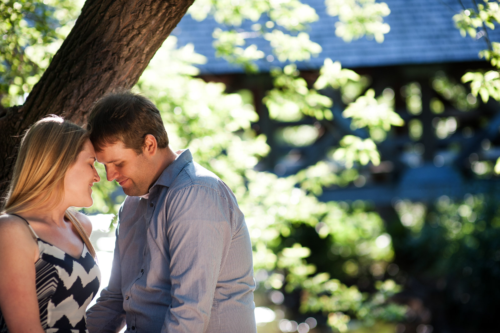 Engagement session of couple under tree at the river walk in Naperville Illinois