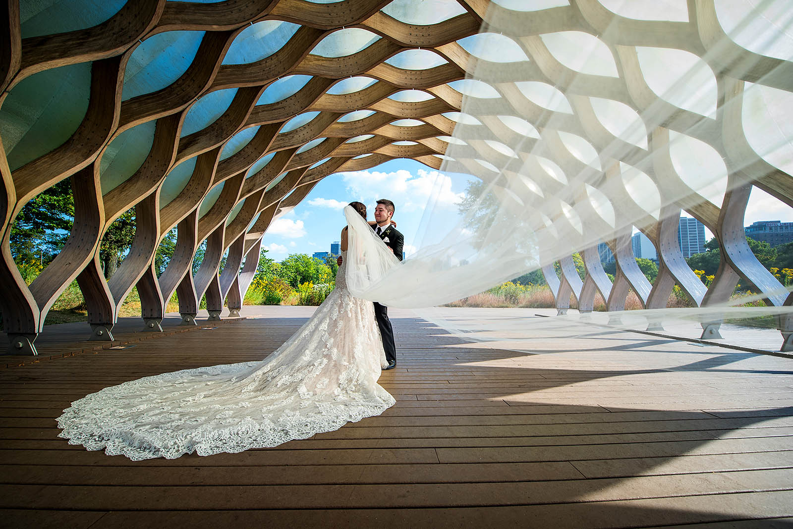 South Pond Honeycomb Wedding Photo Veil