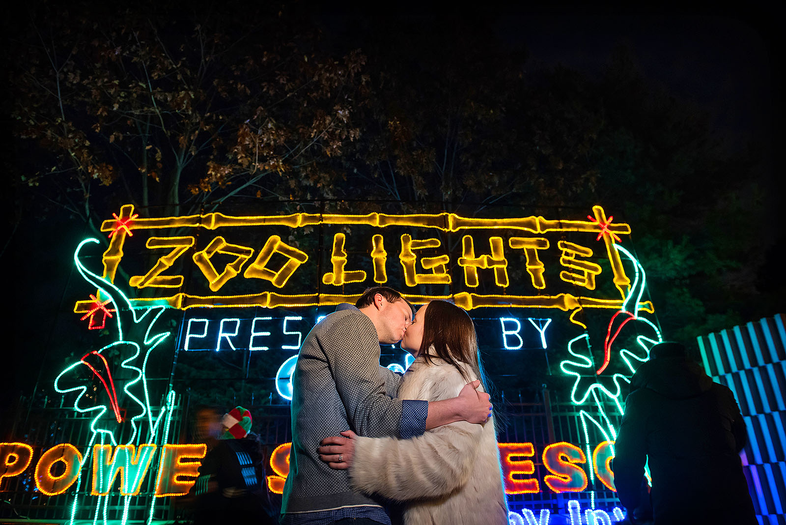 Zoo Lights Lincoln Park Zoo Photo Permit