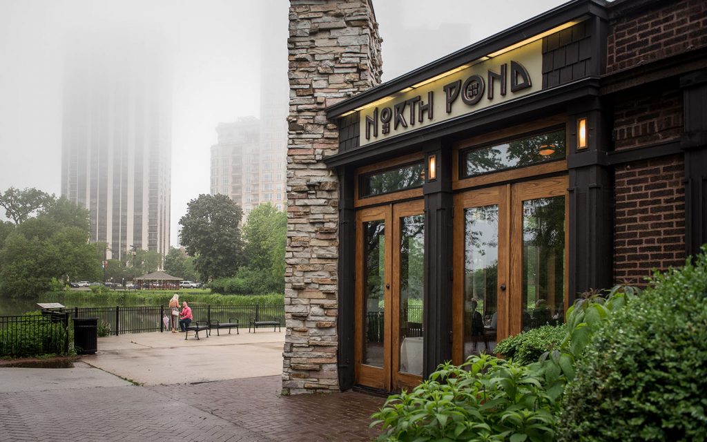 TOP 15 PLACES TO PROPOSE IN CHICAGO
