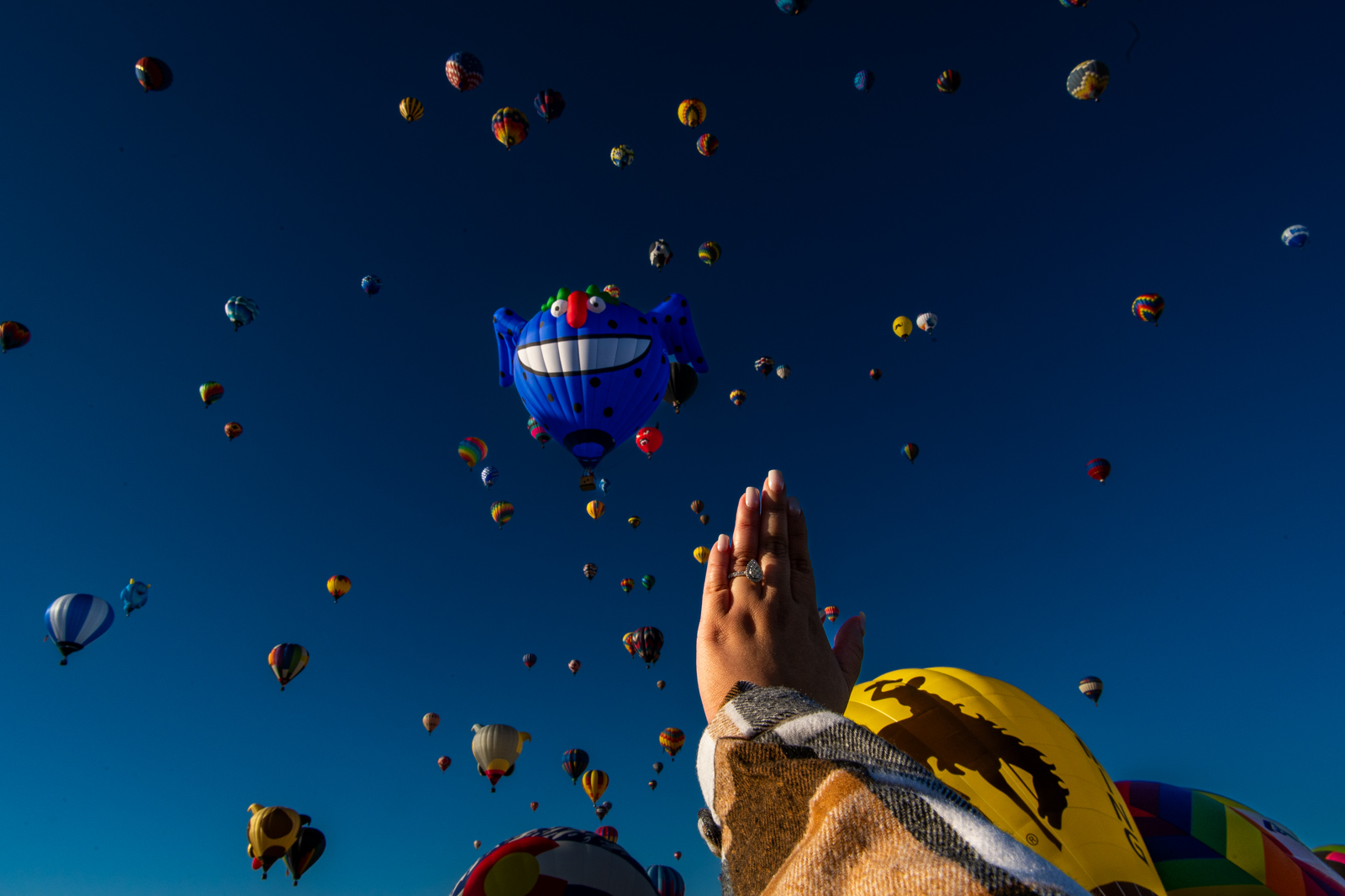 Albuquerque-International-Balloon-Fiesta-Proposal52