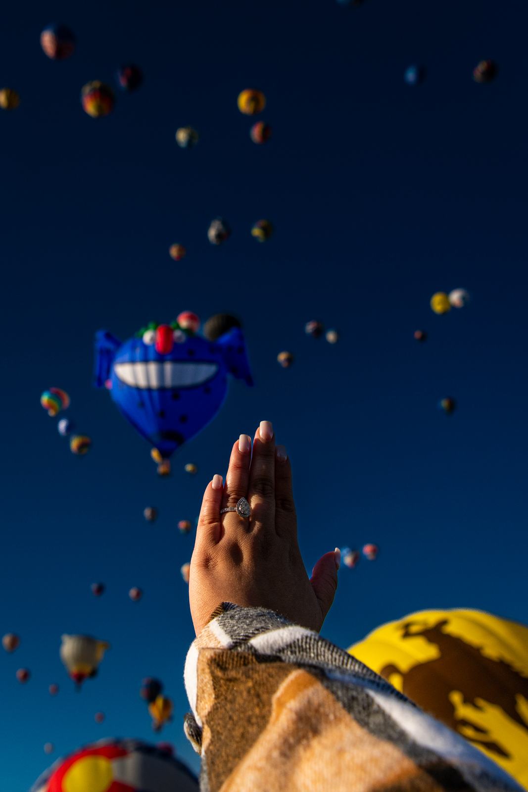 Albuquerque-International-Balloon-Fiesta-Proposal53