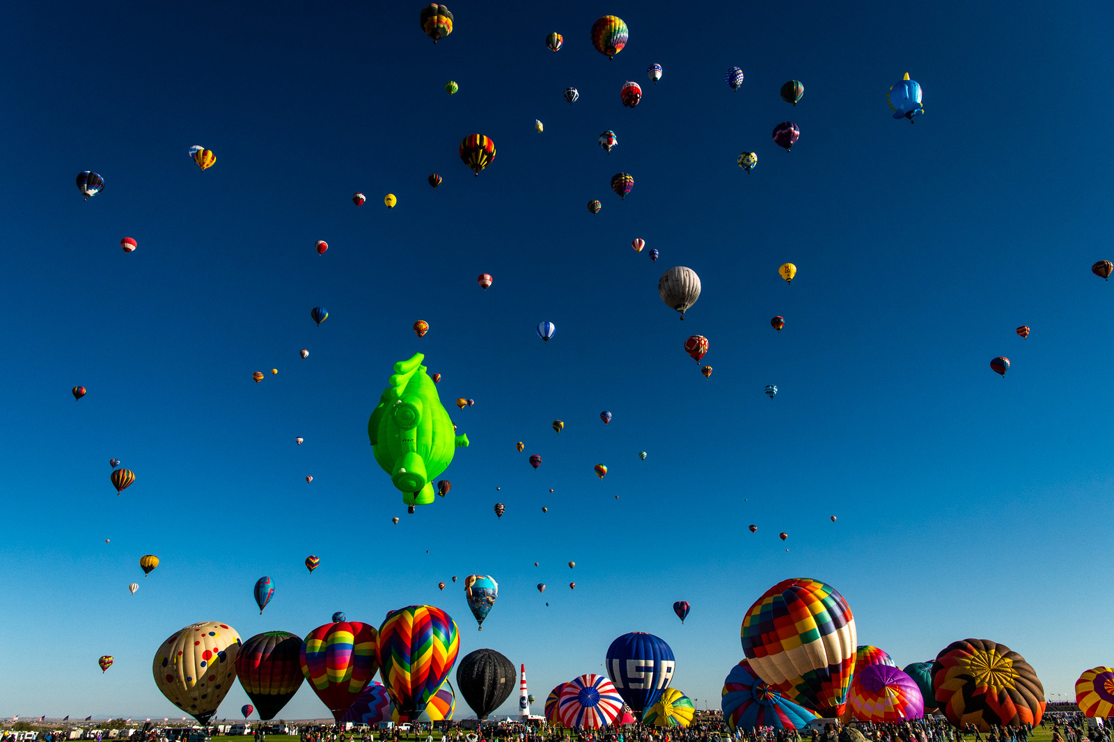 Albuquerque-International-Balloon-Fiesta-Proposal64
