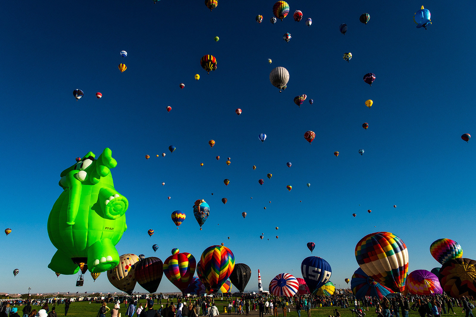 Albuquerque-International-Balloon-Fiesta-Proposal65
