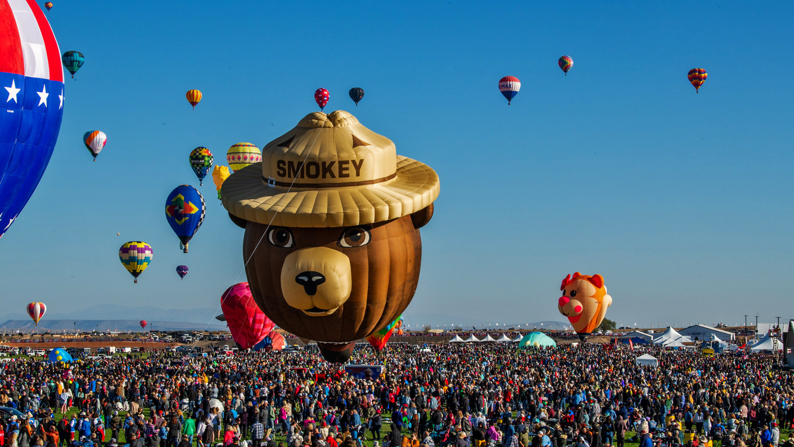 Albuquerque-International-Balloon-Fiesta-Proposal70