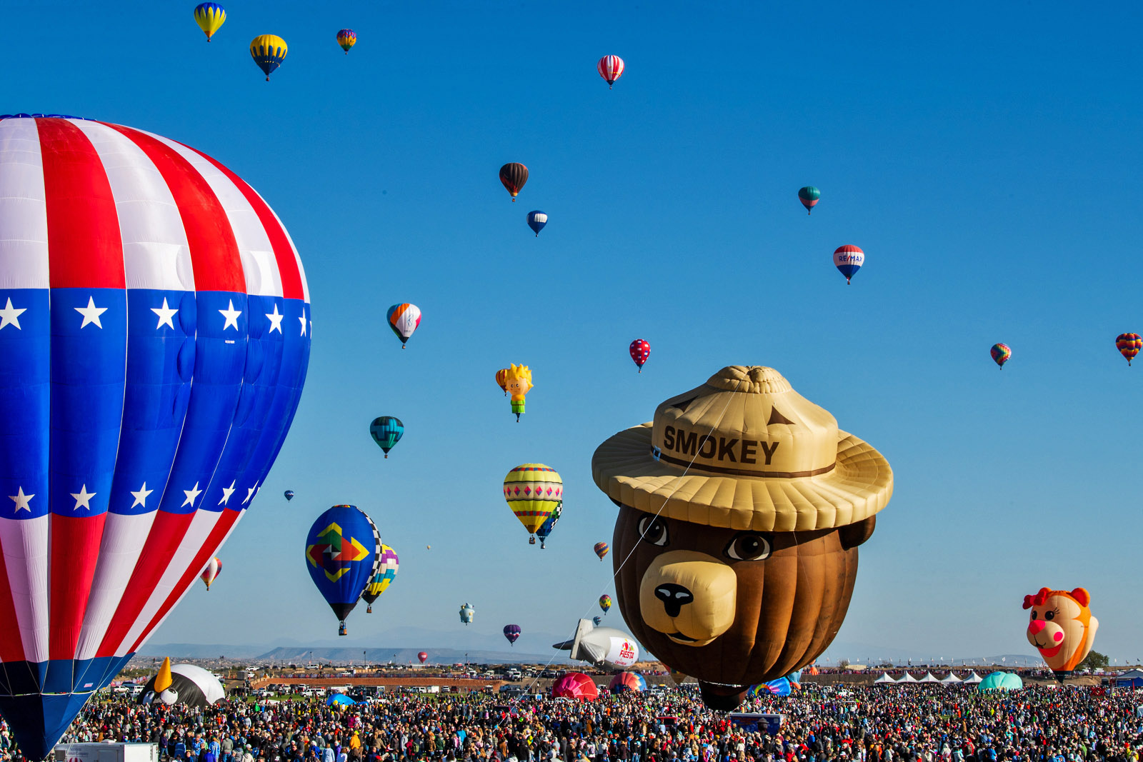 Albuquerque-International-Balloon-Fiesta-Proposal71