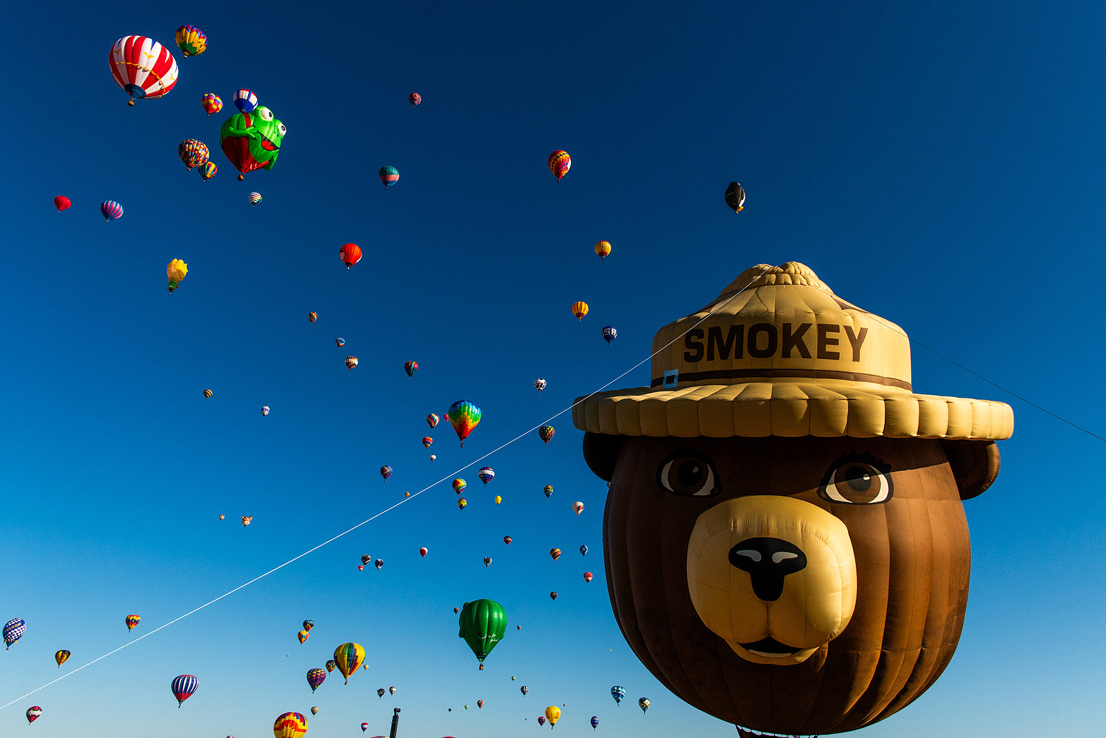 Albuquerque-International-Balloon-Fiesta-Proposal72