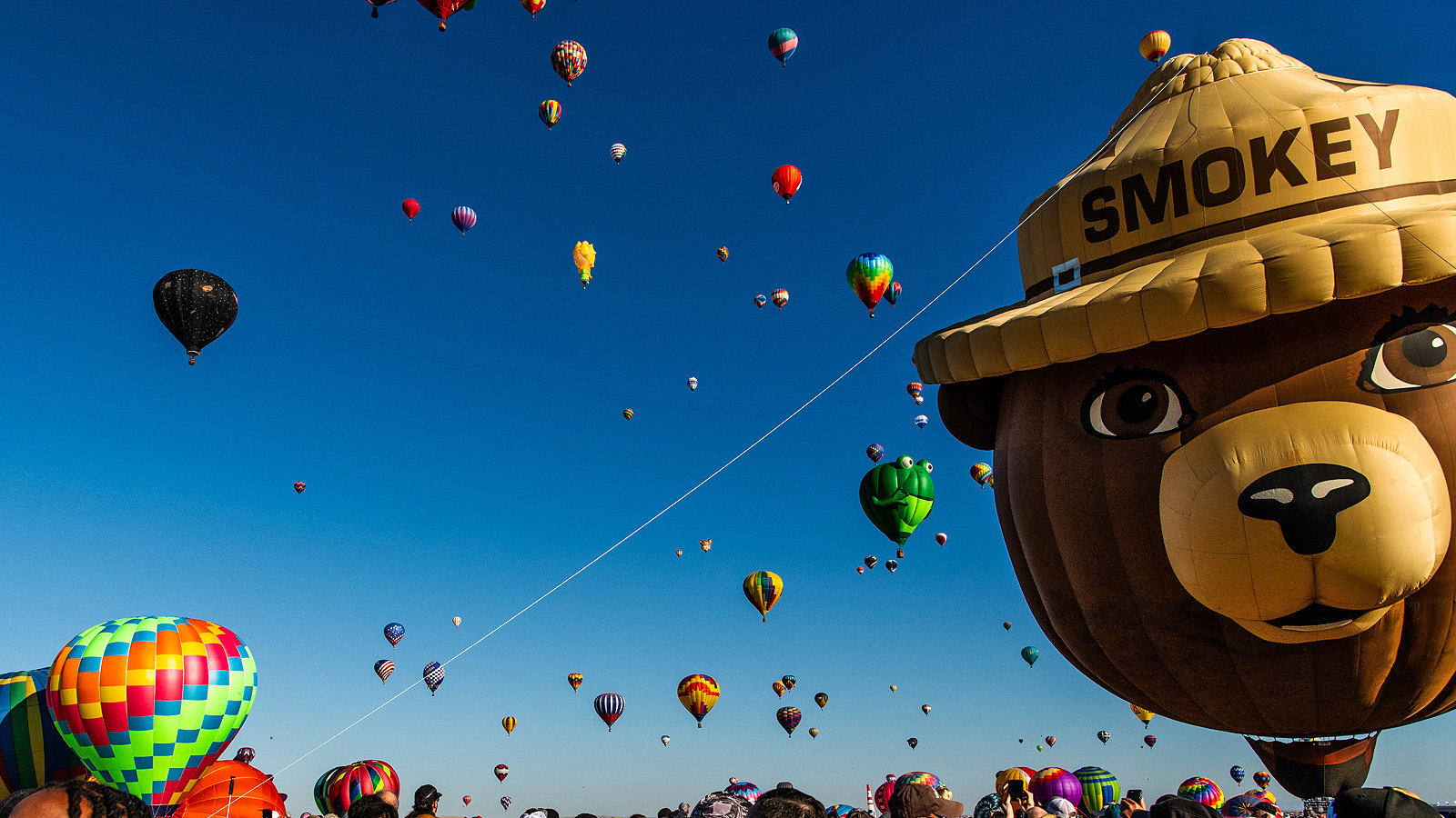 Albuquerque-International-Balloon-Fiesta-Proposal73