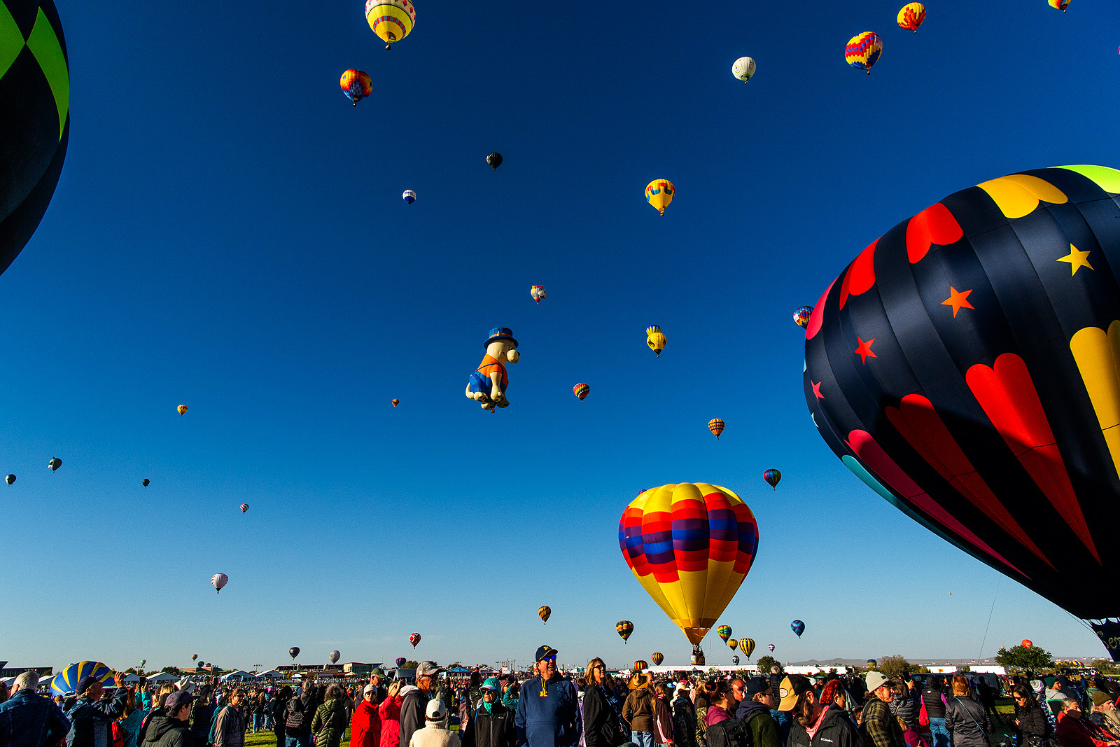 Albuquerque-International-Balloon-Fiesta-Proposal74