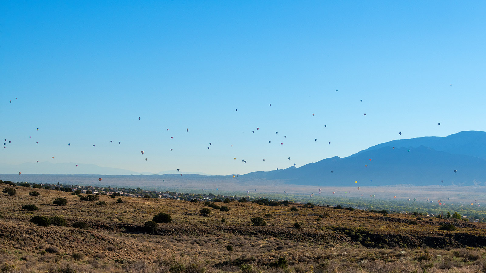 Albuquerque-International-Balloon-Fiesta-Proposal77