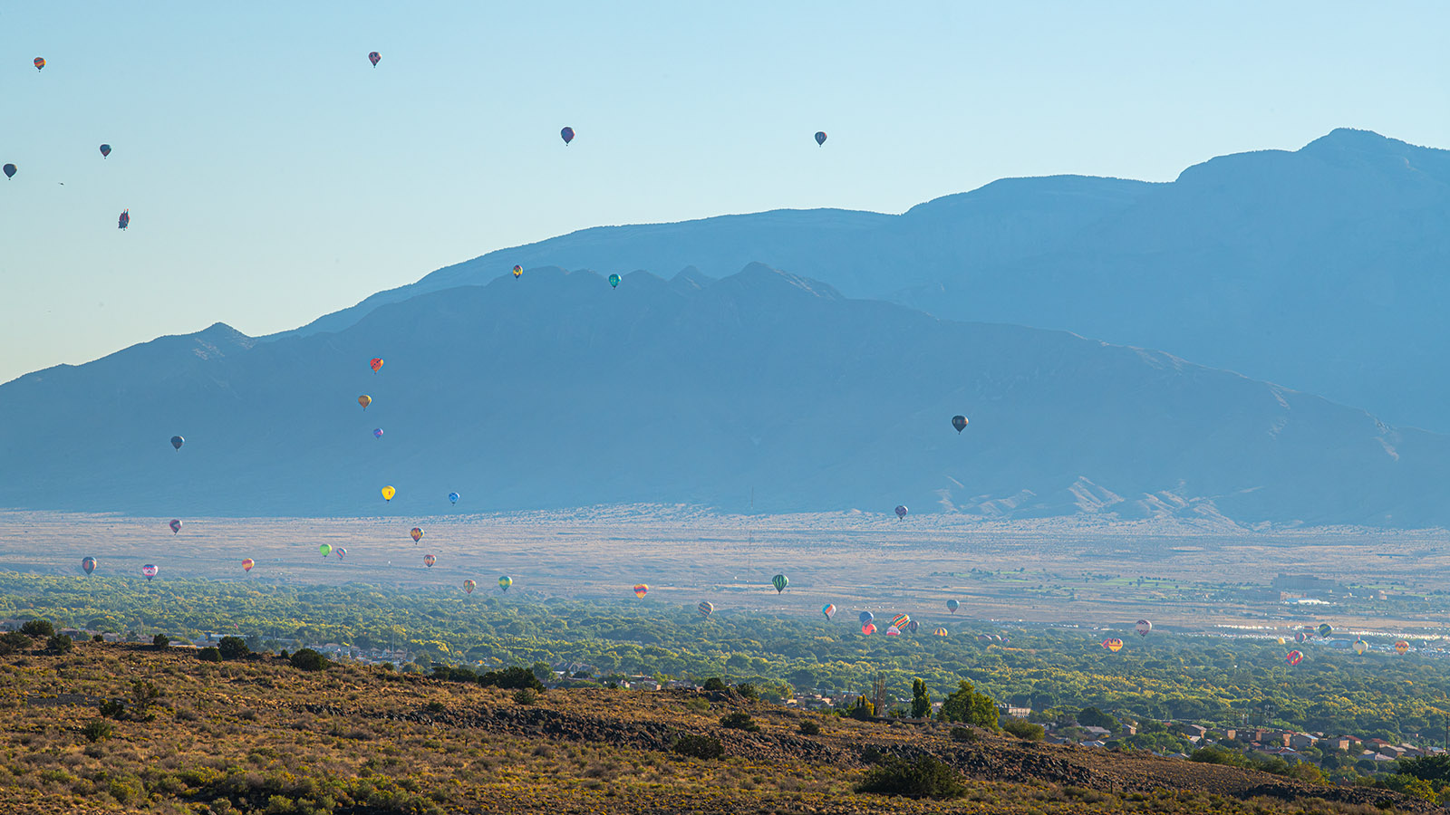 Albuquerque-International-Balloon-Fiesta-Proposal78