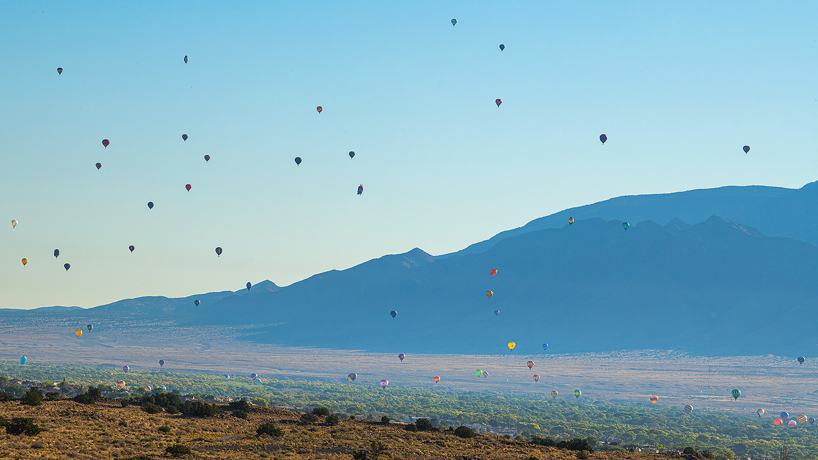 Albuquerque-International-Balloon-Fiesta-Proposal79