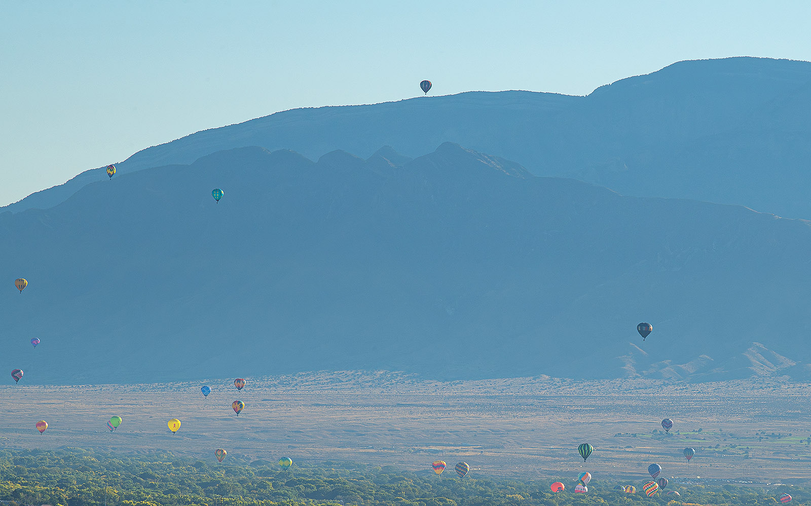 Albuquerque-International-Balloon-Fiesta-Proposal80
