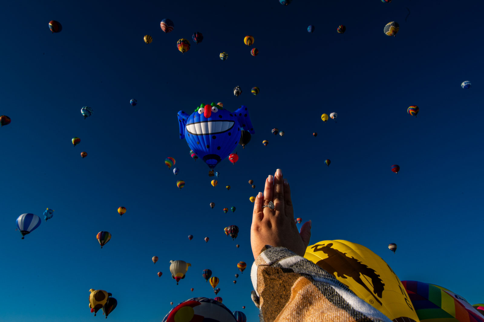 Chicago_Proposal_Photographer458