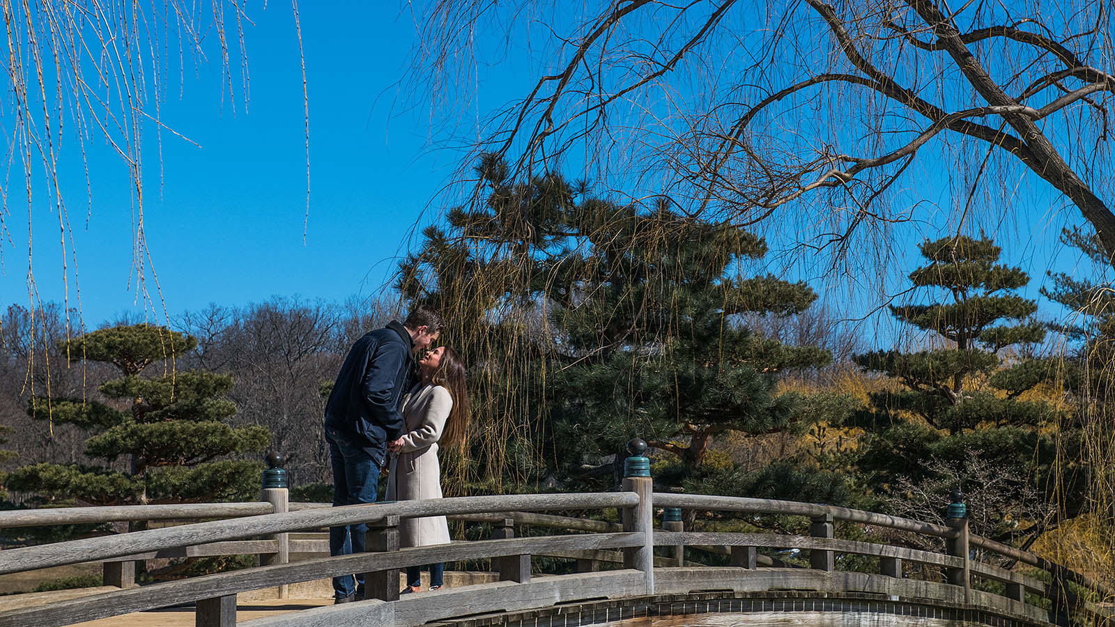 Chicago_Proposal_Photographer480