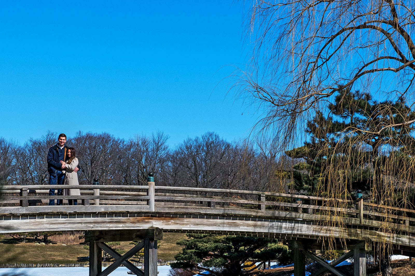 Chicago_Proposal_Photographer482
