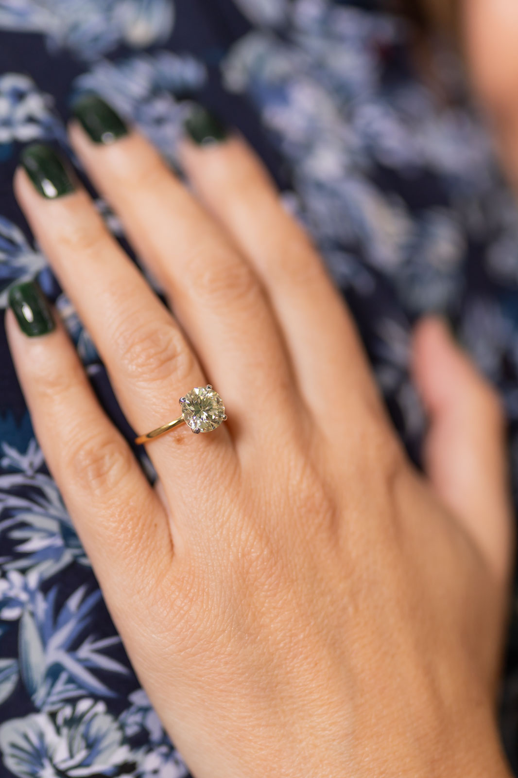LincolnParkSouthPondProposal18