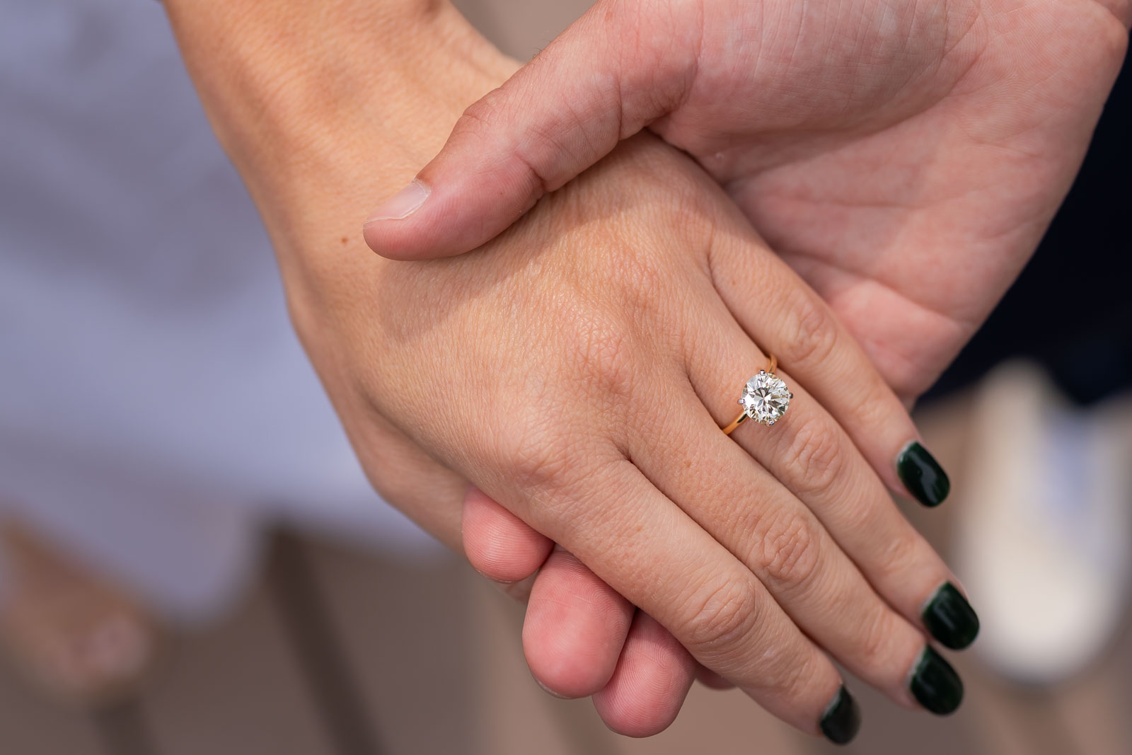 LincolnParkSouthPondProposal22
