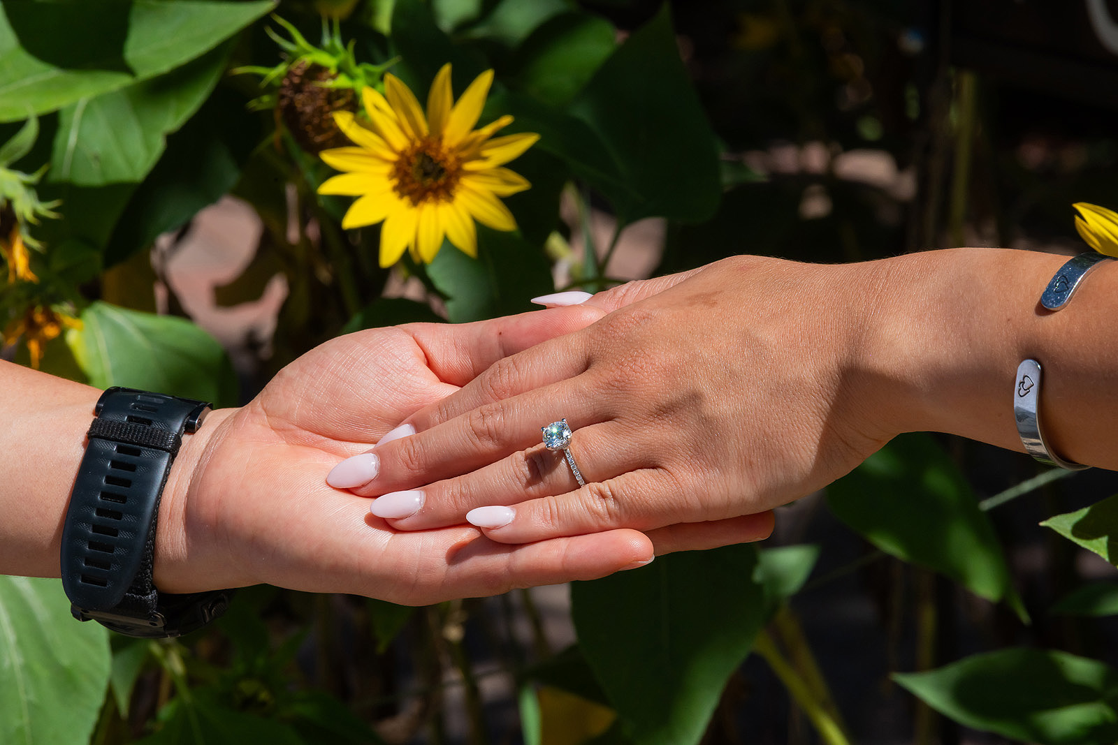 ZozobraProposal100