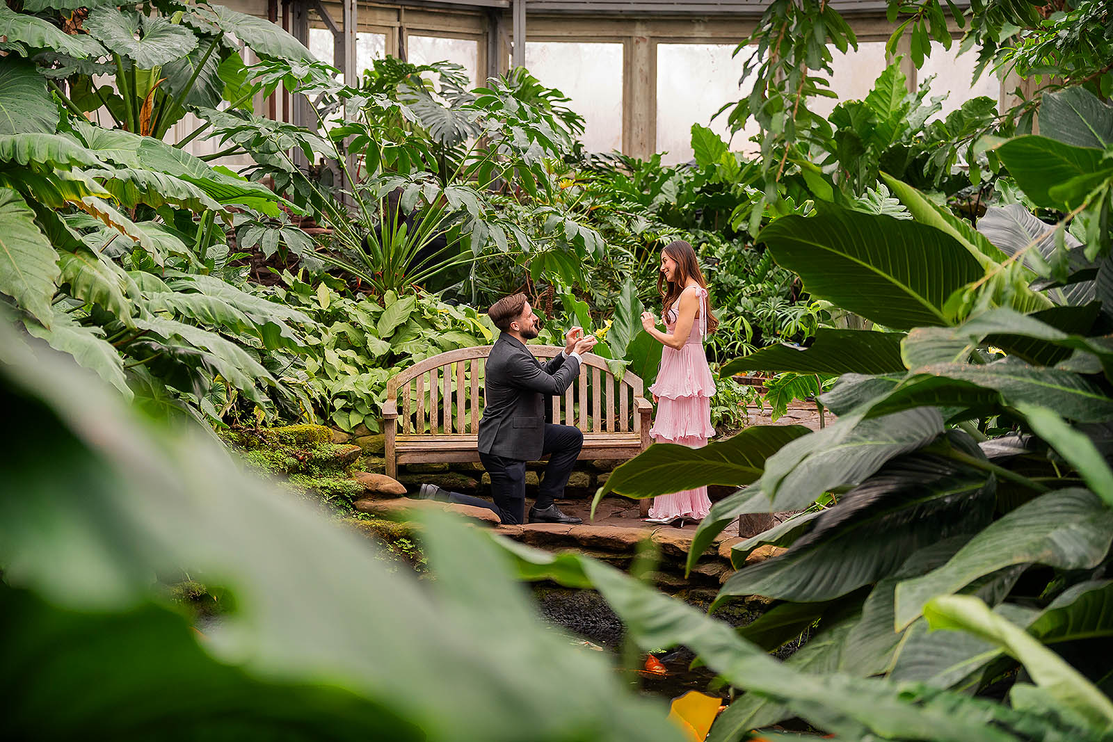 GarfieldParkConservatoryProposal04