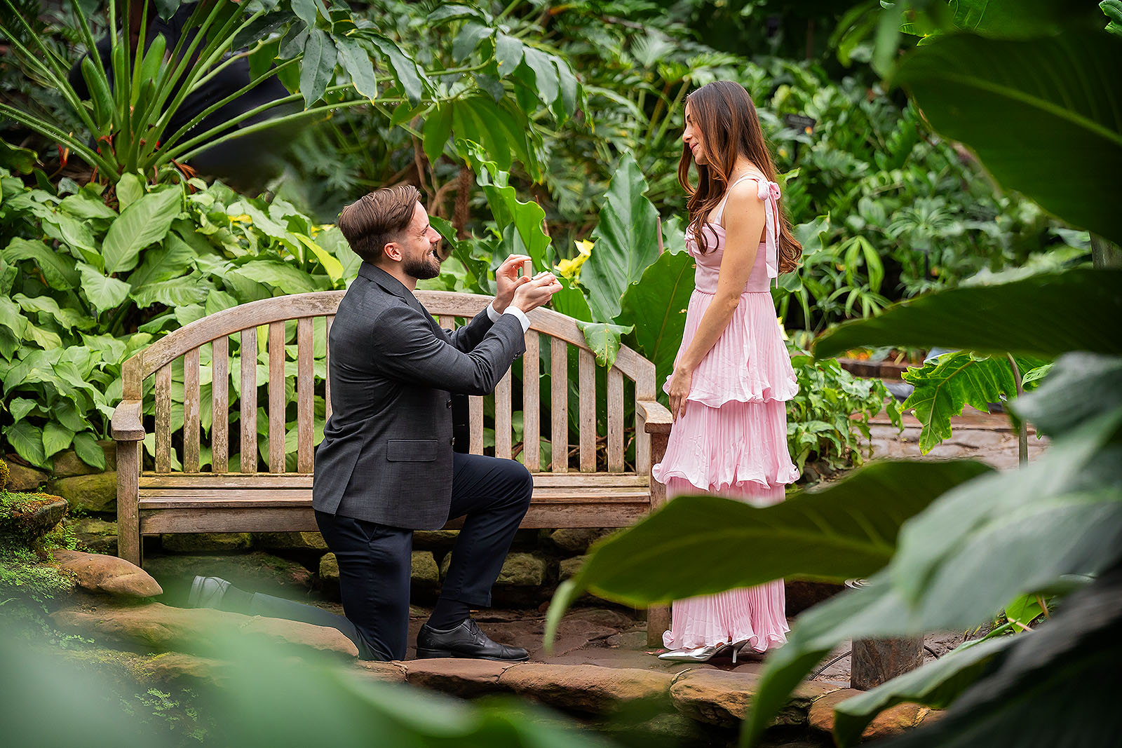 GarfieldParkConservatoryProposal05