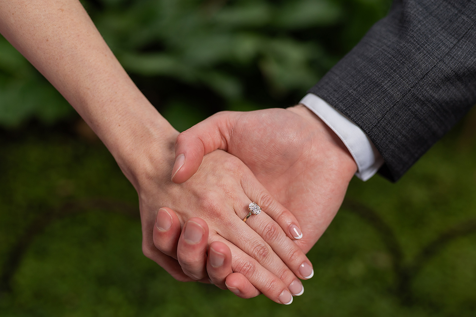 GarfieldParkConservatoryProposal14