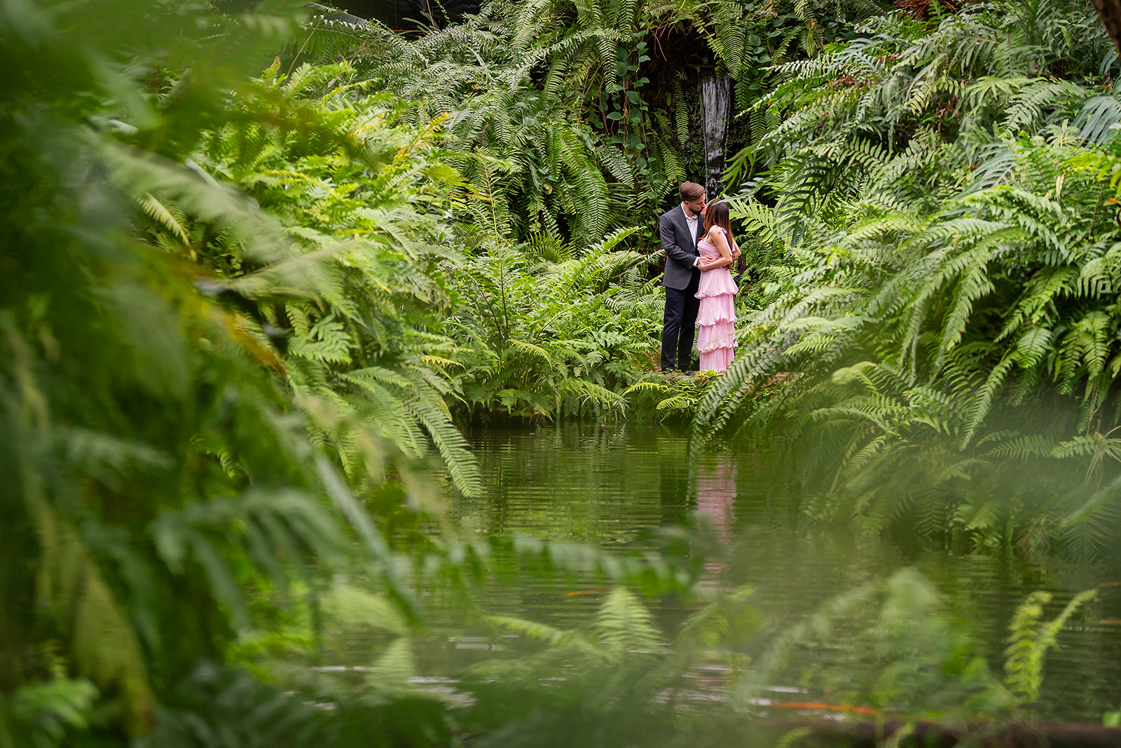 GarfieldParkConservatoryProposal26